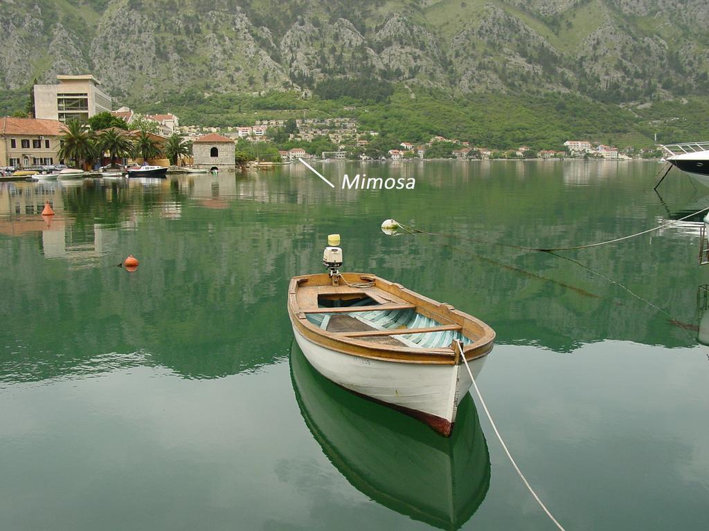 Apartment Mimosa Kotor Quarto foto
