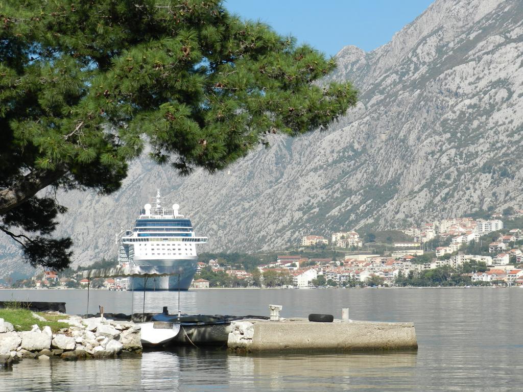 Apartment Mimosa Kotor Quarto foto