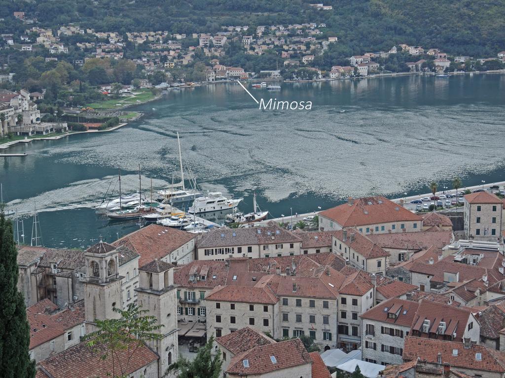 Apartment Mimosa Kotor Quarto foto